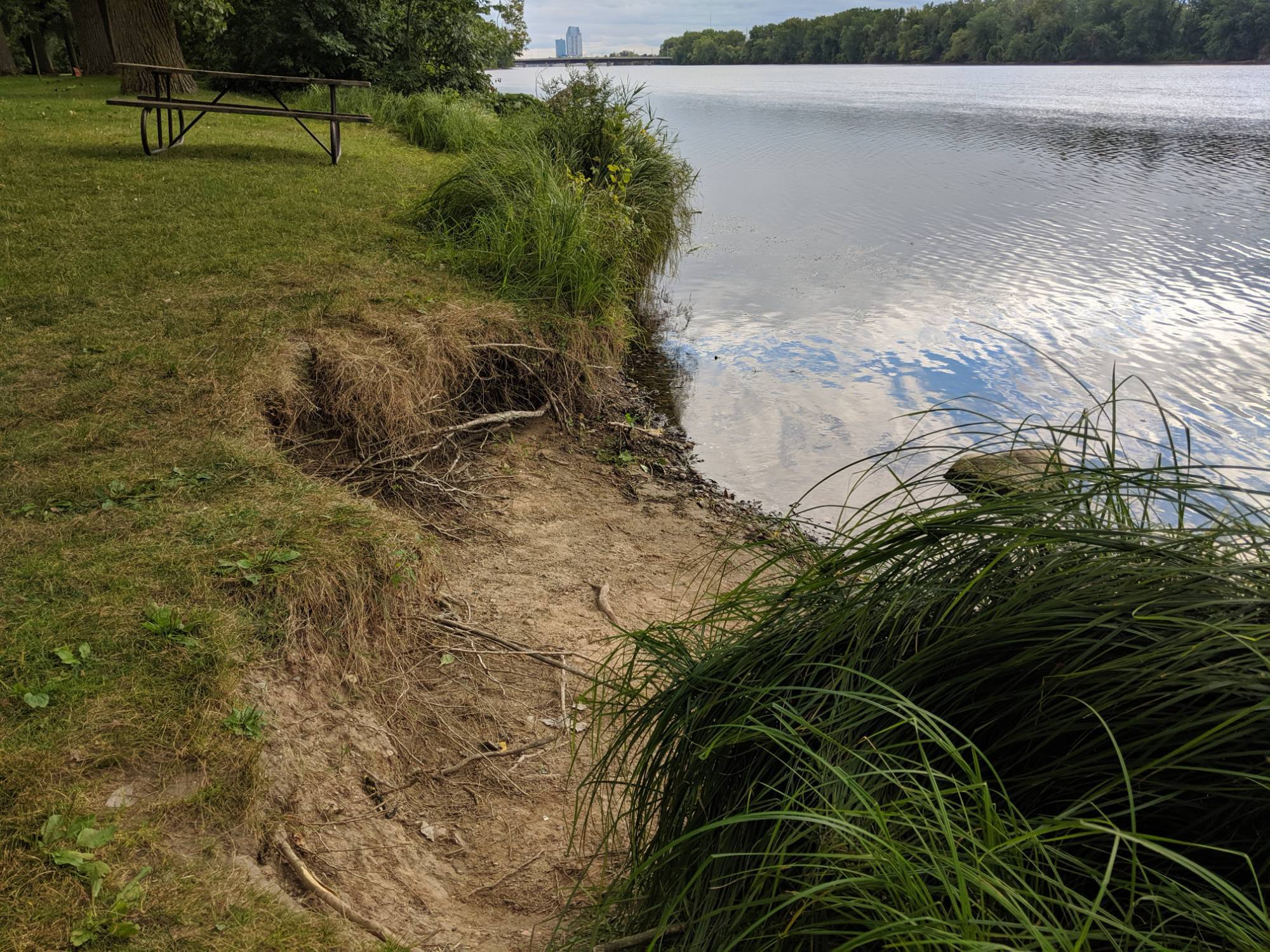 close up of erosion along a river bank